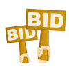 Auction Web Site